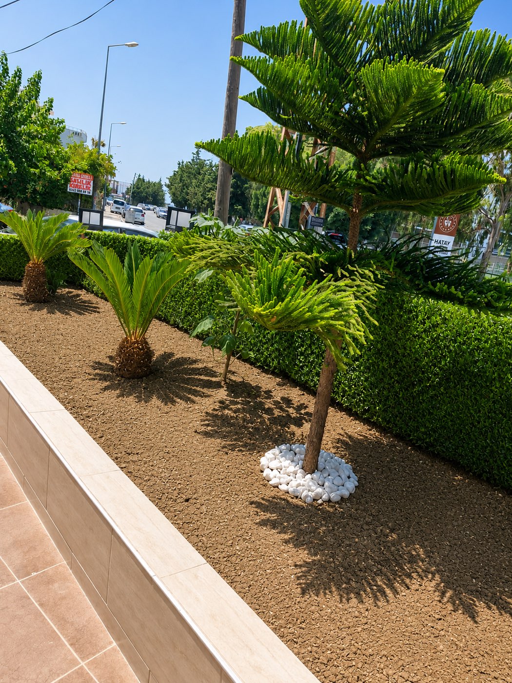 Oktay Apart Otel bahçesi